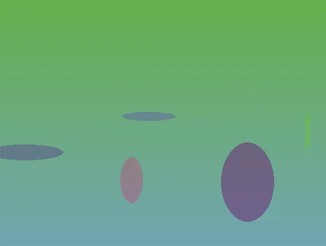 星空竞猜