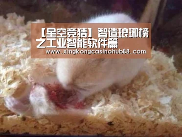 【星空竞猜】智造琅琊榜之工业智能软件篇(图1) 星空竞猜