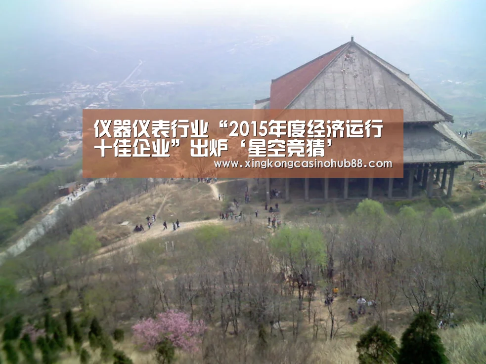 仪器仪表行业“2015年度经济运行十佳企业”出炉‘星空竞猜’(图1) 星空真人
