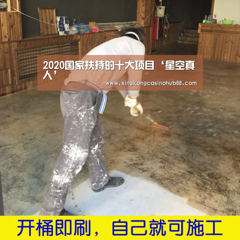 2020国家扶持的十大项目‘星空真人’(图1) 星空官网