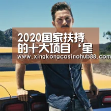 2020国家扶持的十大项目‘星空真人’(图2) 星空体育
