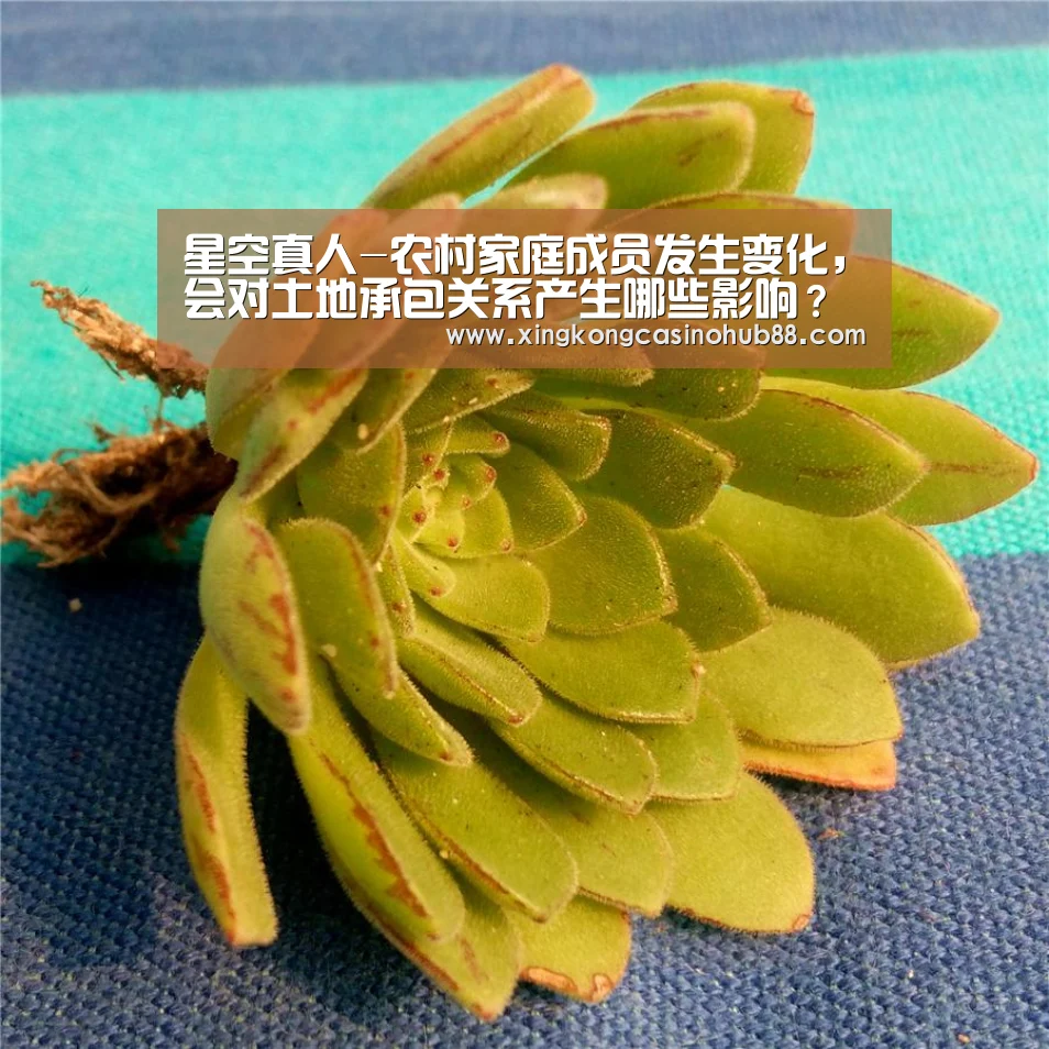 星空真人-农村家庭成员发生变化,会对土地承包关系产生哪些影响?(图1) 星空体育