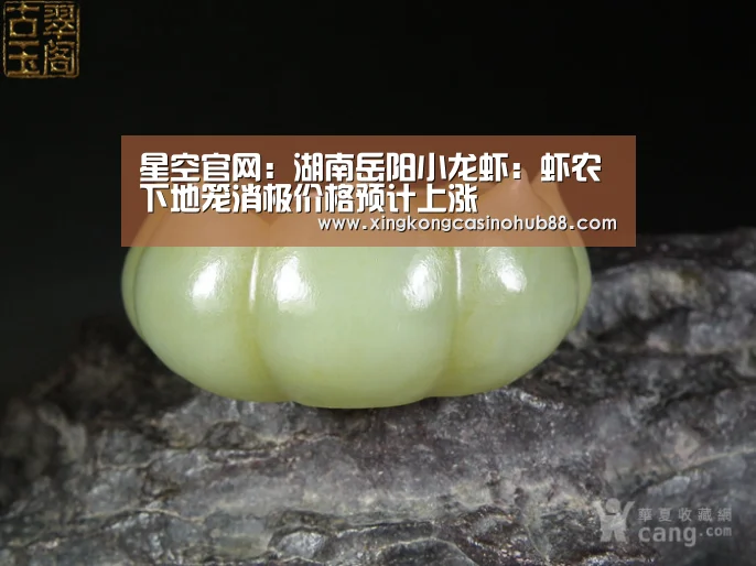 星空体育
