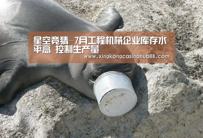 星空竞猜