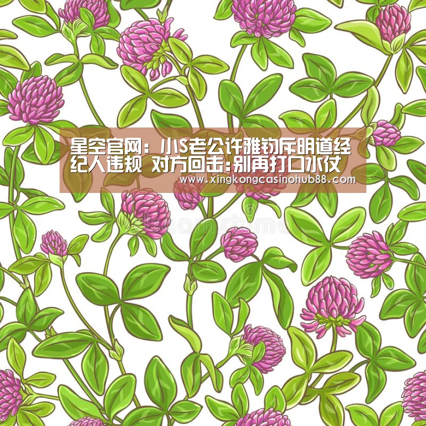 星空官网:小S老公许雅钧斥明道经纪人违规 对方回击:别再打口水仗(图3) 星空体育
