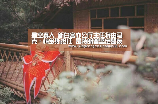 星空真人_新白宫办公厅主任将由马克·梅多斯担任 是特朗普坚定盟友(图1) 星空体育