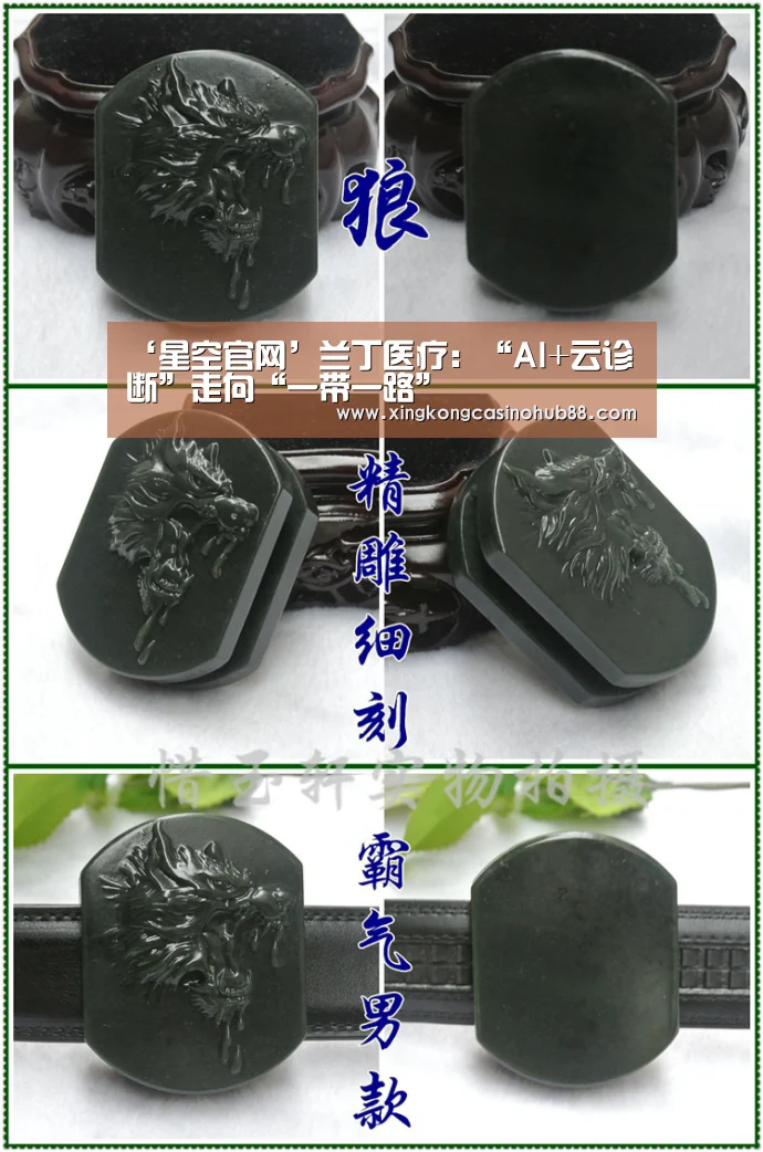 ‘星空官网’兰丁医疗:“AI+云诊断”走向“一带一路”(图1) 星空真人