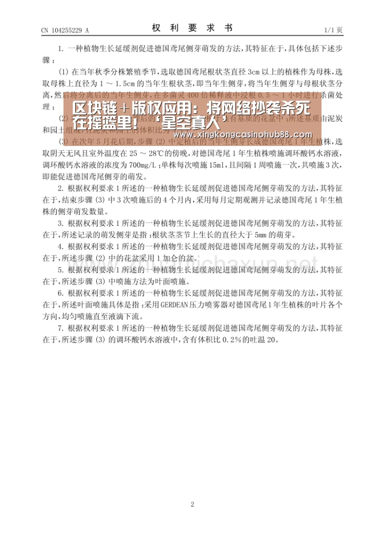 区块链+版权应用:将网络抄袭杀死在摇篮里!‘星空真人’(图2) 星空竞猜