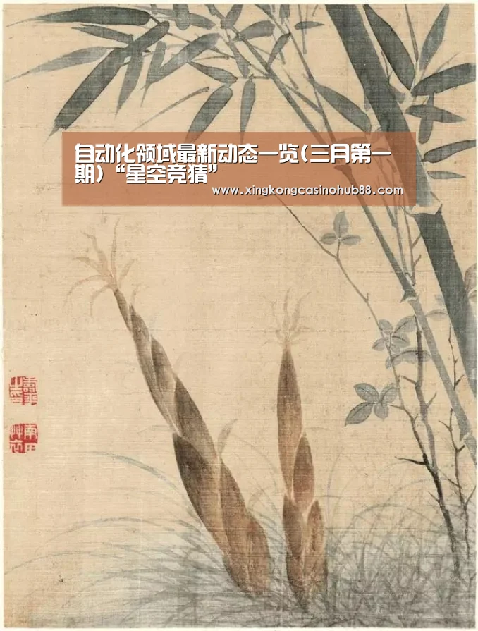 星空真人