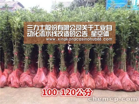 三力士股份有限公司关于工业自动化流水线改造的公告_星空体育(图3) 星空真人