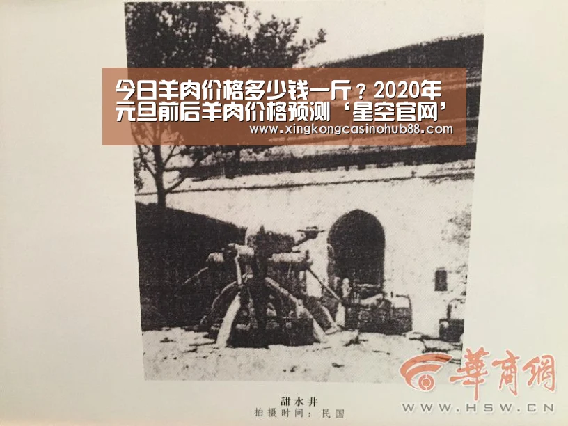 今日羊肉价格多少钱一斤?2020年元旦前后羊肉价格预测‘星空官网’(图1) 星空体育