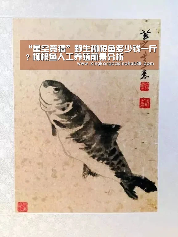 星空真人