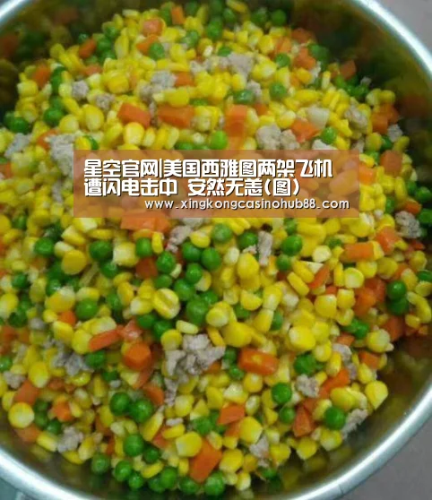 星空官网|美国西雅图两架飞机遭闪电击中 安然无恙(图)(图1) 星空官网