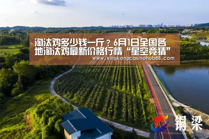 淘汰鸡多少钱一斤?6月1日全国各地淘汰鸡最新价格行情“星空竞猜”(图1) 星空真人